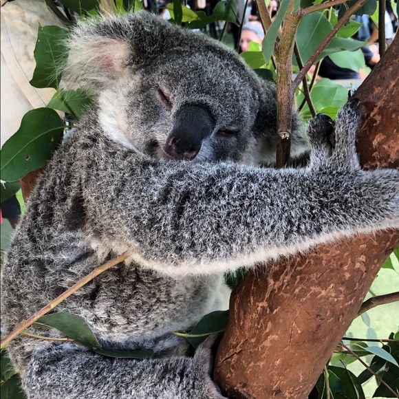 Meet your Posher, Trish - Picture 1 of 1